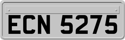 ECN5275