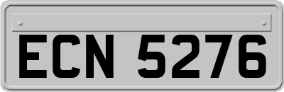 ECN5276