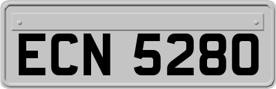 ECN5280