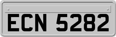ECN5282