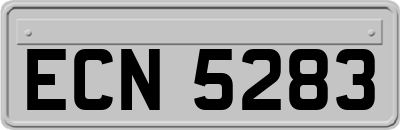ECN5283