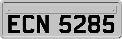 ECN5285