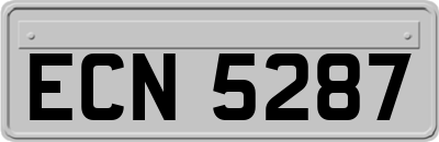 ECN5287