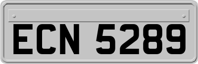 ECN5289