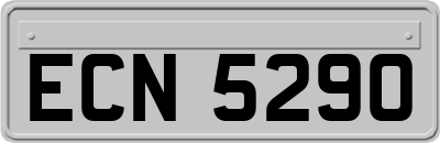ECN5290