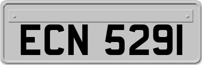 ECN5291