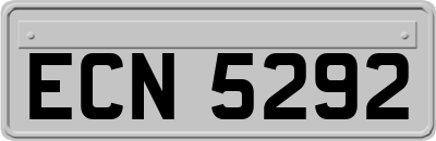 ECN5292