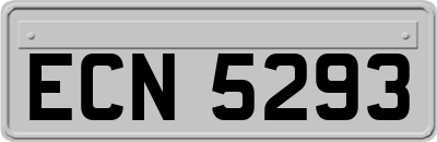 ECN5293