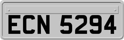 ECN5294