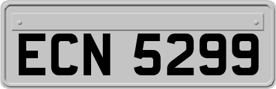 ECN5299