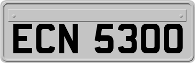 ECN5300
