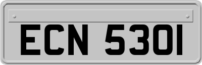 ECN5301