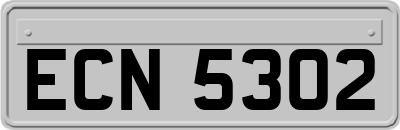 ECN5302