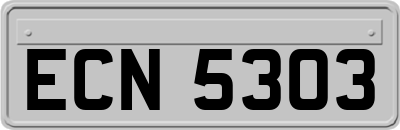 ECN5303