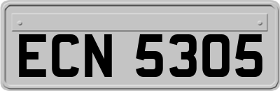 ECN5305