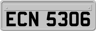 ECN5306