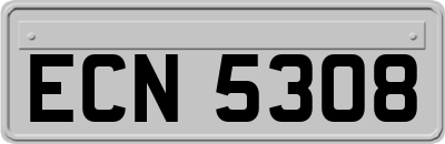 ECN5308