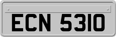 ECN5310