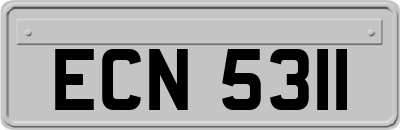 ECN5311