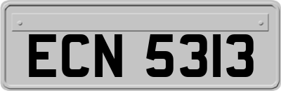 ECN5313