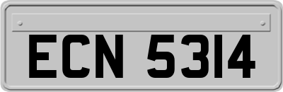 ECN5314