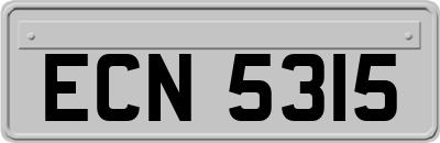 ECN5315