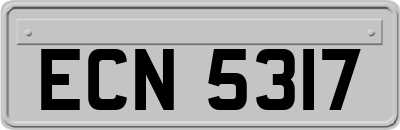 ECN5317