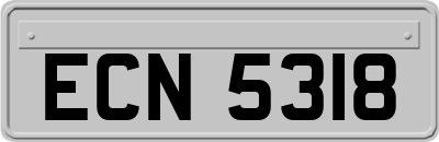 ECN5318