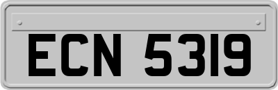 ECN5319