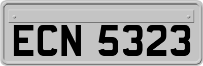 ECN5323