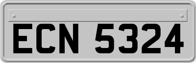 ECN5324