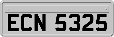 ECN5325