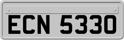 ECN5330