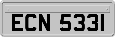 ECN5331