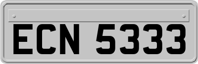 ECN5333