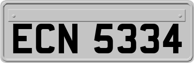 ECN5334