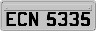 ECN5335