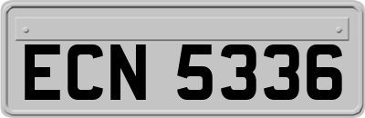 ECN5336