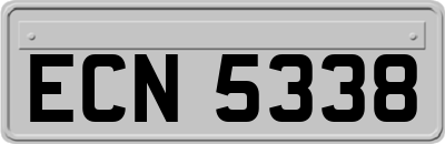 ECN5338