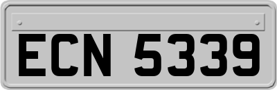 ECN5339