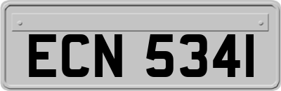 ECN5341