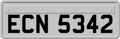 ECN5342