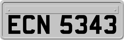 ECN5343