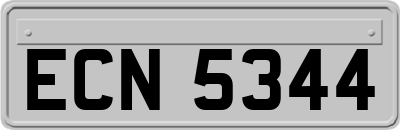 ECN5344