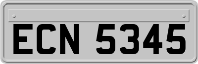 ECN5345