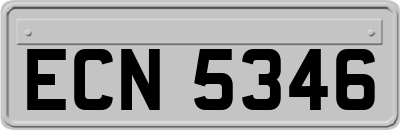ECN5346