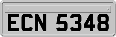 ECN5348