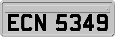 ECN5349