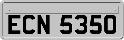 ECN5350