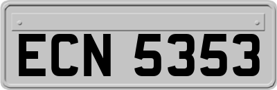 ECN5353